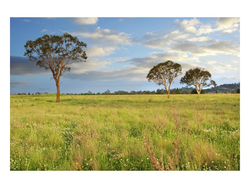 Lot 404 Old Gostwyck Park Estate, Armidale NSW 2350