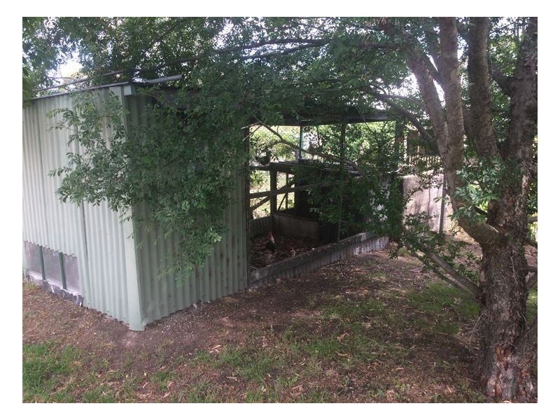 11 Queen Street, Hillgrove NSW 2350