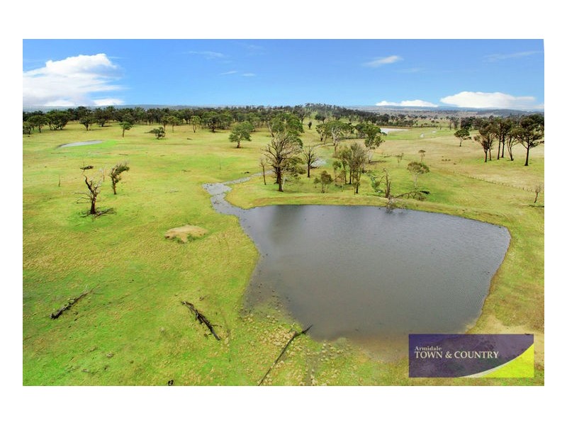 133 Lochaven Road, Dangarsleigh NSW 2350