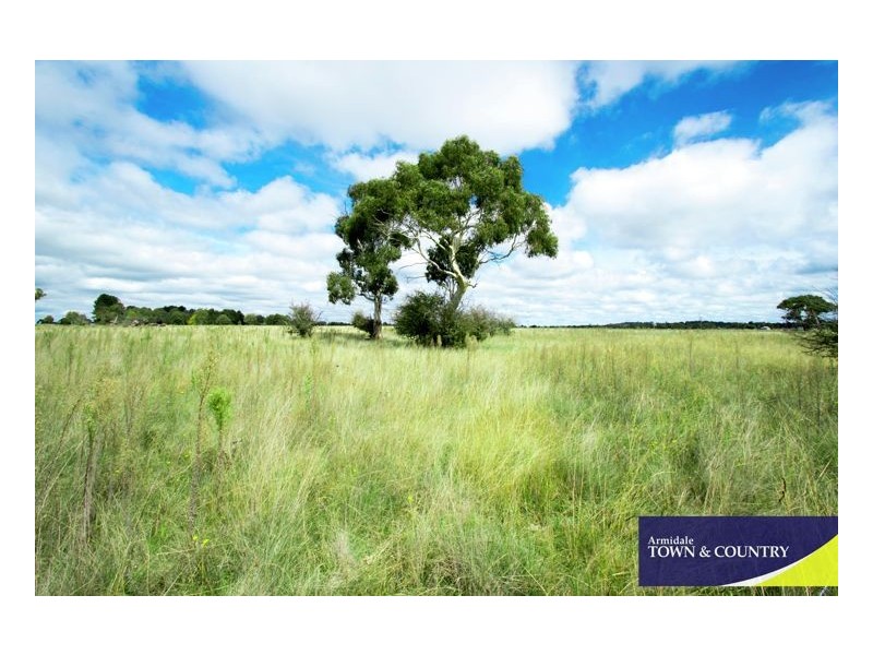 Lot 203 87 Dumaresq Road, Armidale NSW 2350