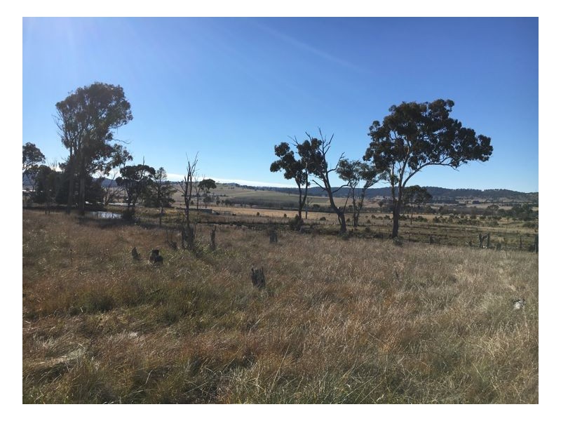 51 McCannas Road, Armidale NSW 2350