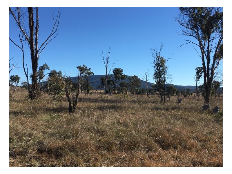 51 McCannas Road, Armidale NSW 2350