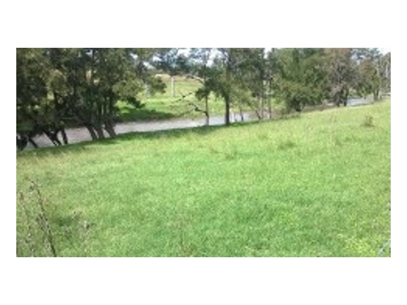 NARAGLEN DOWNS Torryburn Road, Armidale NSW 2350