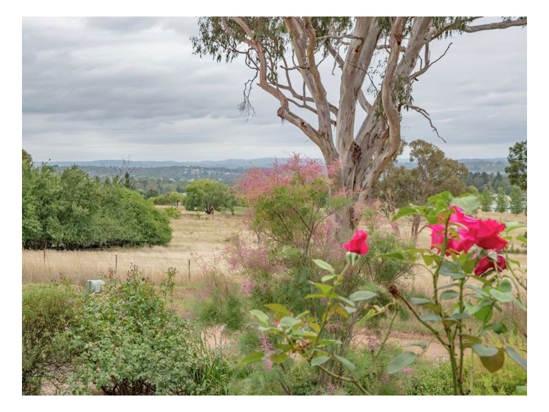 17 Sutherland Lane, Armidale NSW 2350