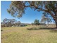 111 Tulong Road, Armidale NSW 2350
