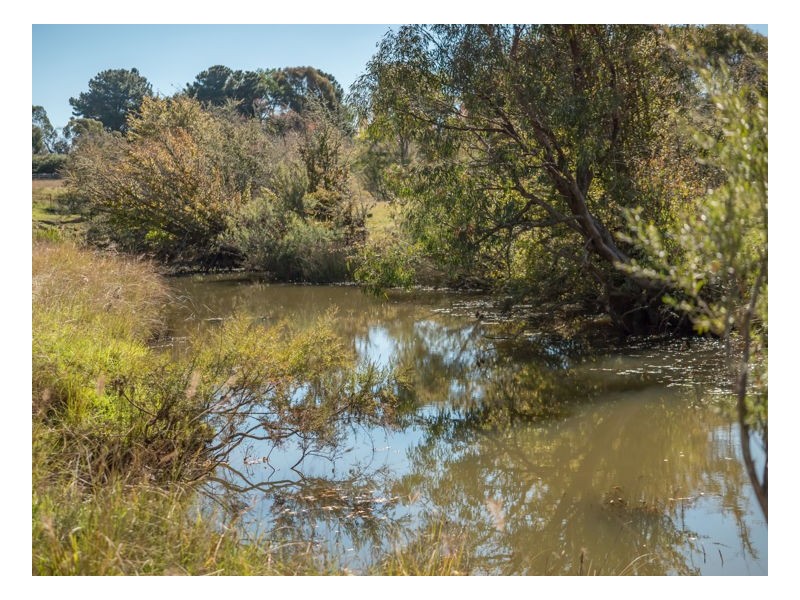 111 Tulong Road, Armidale NSW 2350