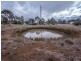 21 Kellys Plains Road, Armidale NSW 2350