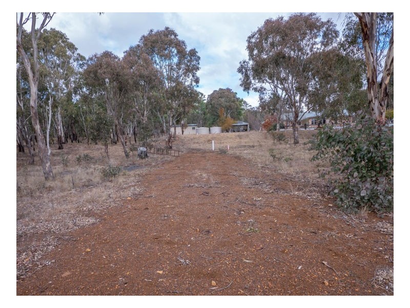 21 Kellys Plains Road, Armidale NSW 2350