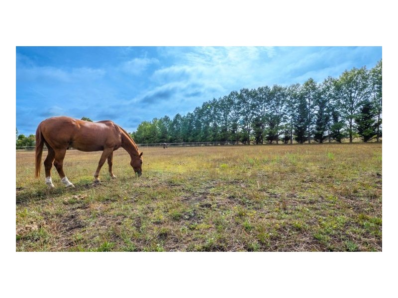Lot 105 The Pines Estate, Armidale NSW 2350