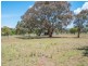 133 Mount Mitchell Road, Armidale NSW 2350