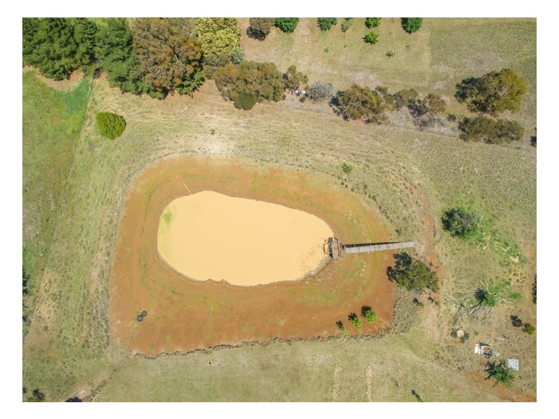 133 Mount Mitchell Road, Armidale NSW 2350