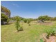 45 John Street, Uralla NSW 2358