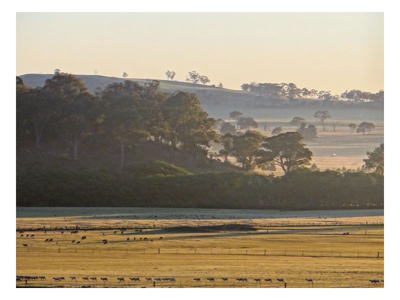 145 Panseyfield Road, Armidale NSW 2350