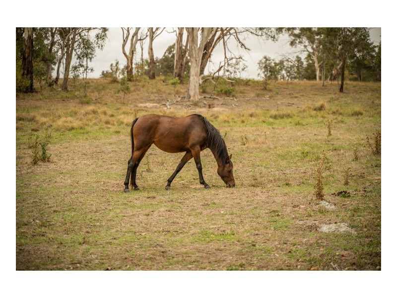 1014 Boorolong Road, Armidale NSW 2350