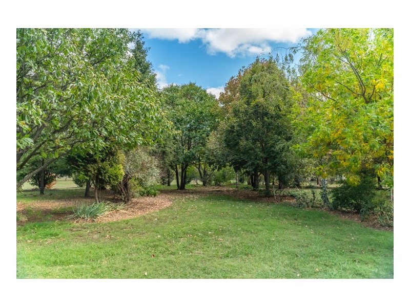 784 Bundarra Road, Armidale NSW 2350