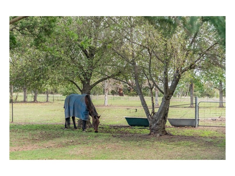 784 Bundarra Road, Armidale NSW 2350