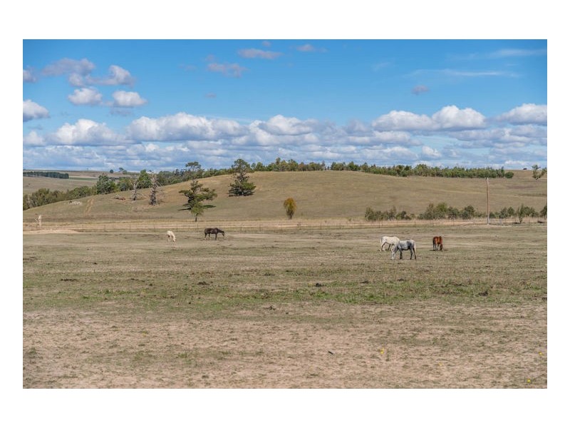 718 Old Gostwyck Road, Armidale NSW 2350