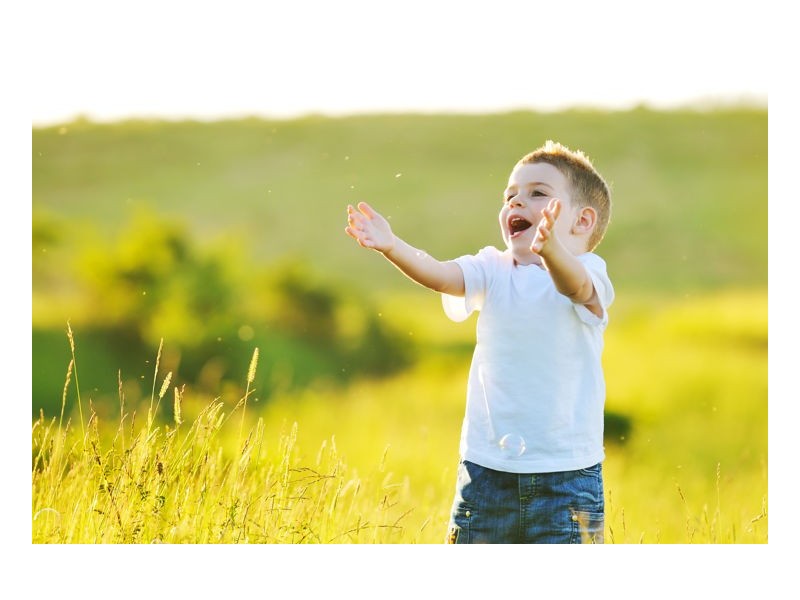 Lot 12 Melba Place, Armidale NSW 2350