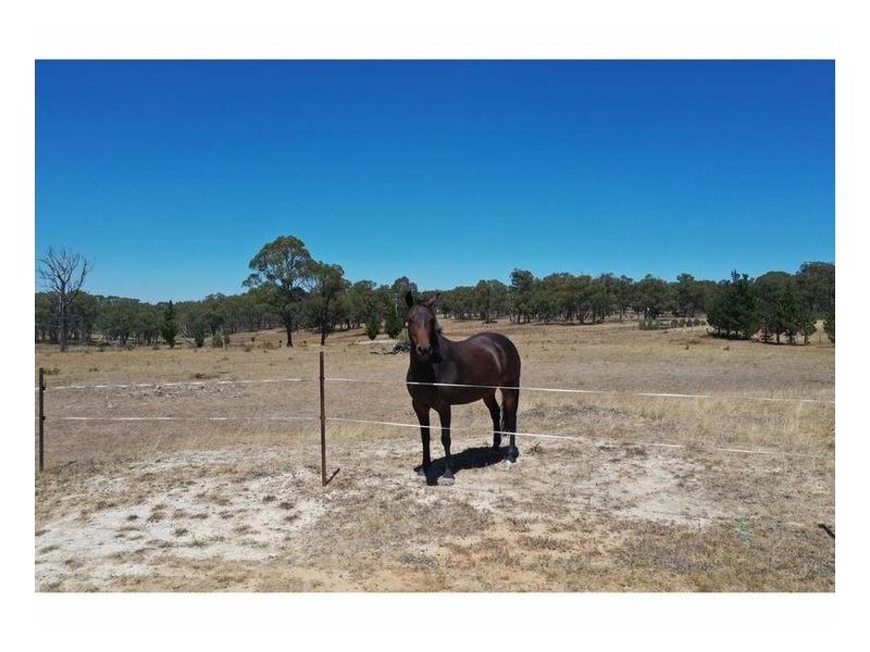 1425 Bundarra Road, Armidale NSW 2350