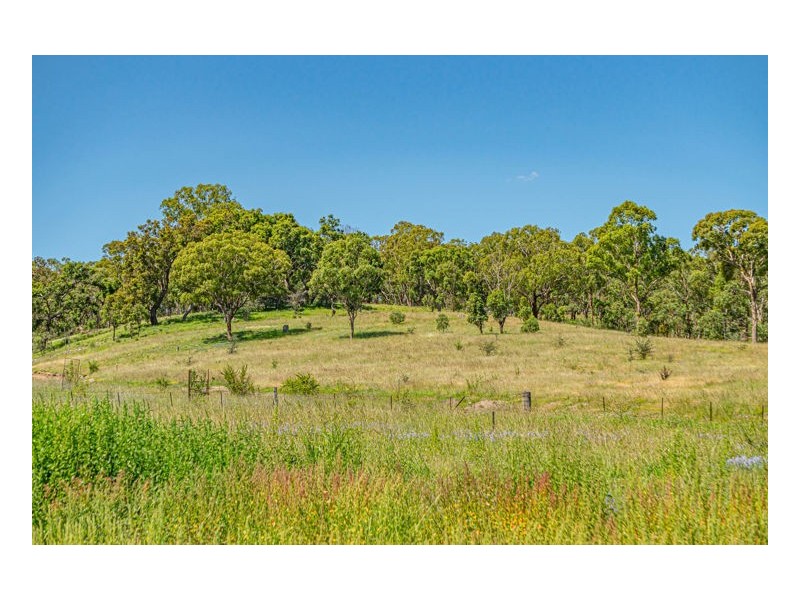 19 Ailsa Crescent, Armidale NSW 2350