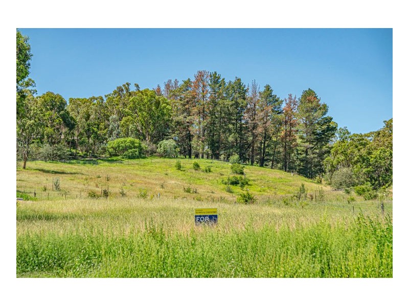 19 Ailsa Crescent, Armidale NSW 2350