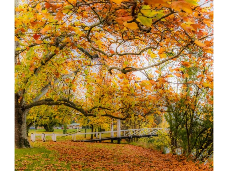 Lot 17 The South Hill, Armidale, Armidale NSW 2350