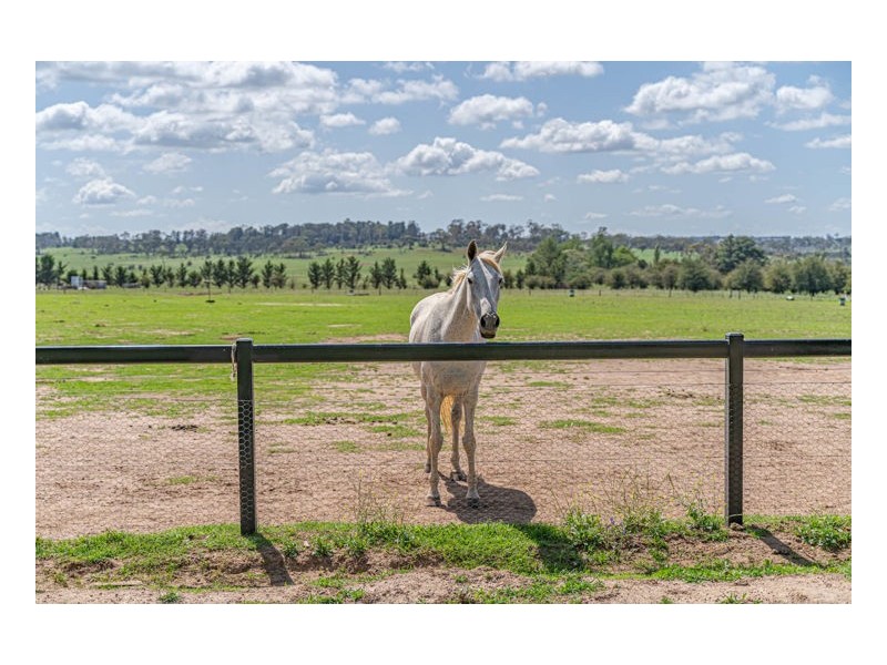 62 Macleay Way, Armidale NSW 2350