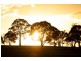 Lot 203 Sandon Park, Armidale NSW 2350