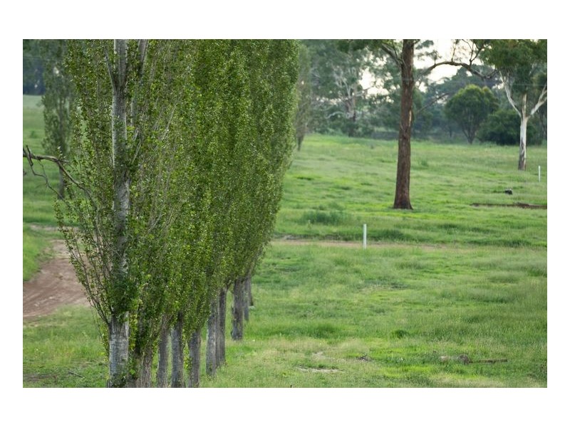 Lot 203 Sandon Park, Armidale NSW 2350