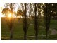 Lot 203 Sandon Park, Armidale NSW 2350