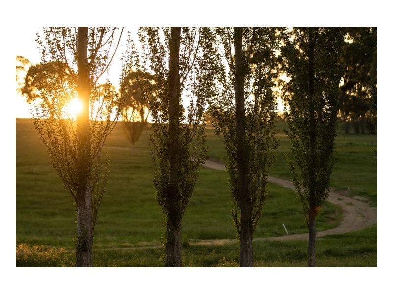 Lot 203 Sandon Park, Armidale NSW 2350