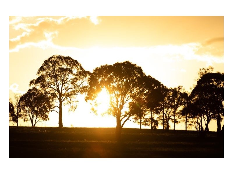 Lot 209 Sandon Park, Armidale NSW 2350