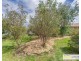 10 Kurrajong Close, Armidale NSW 2350