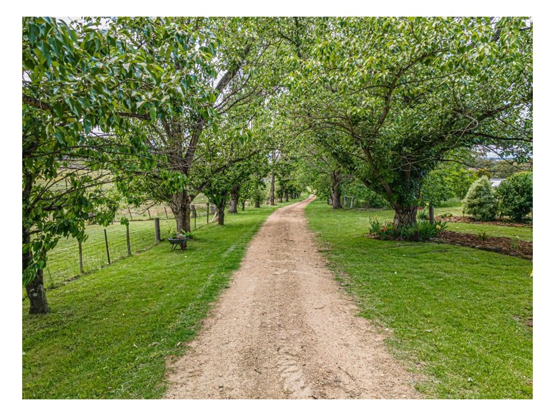 145. Panseyfield Road, Armidale NSW 2350