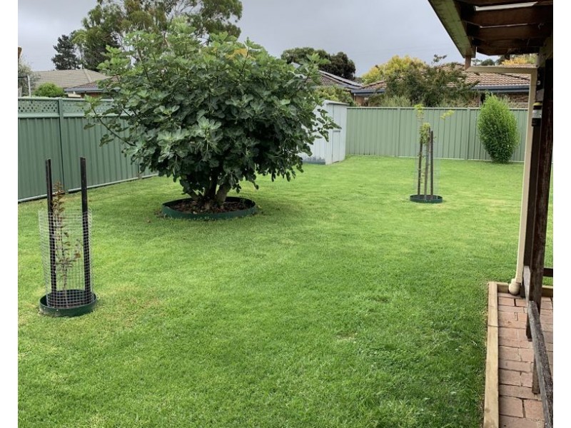 11 Lonsdale Street, Armidale NSW 2350