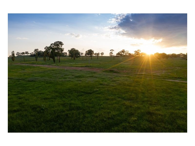 Lot 203 Sandon Park, Armidale NSW 2350