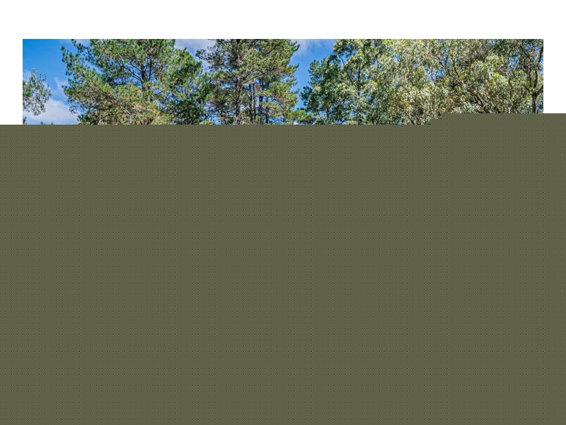 46 Invergowrie Road, Armidale NSW 2350