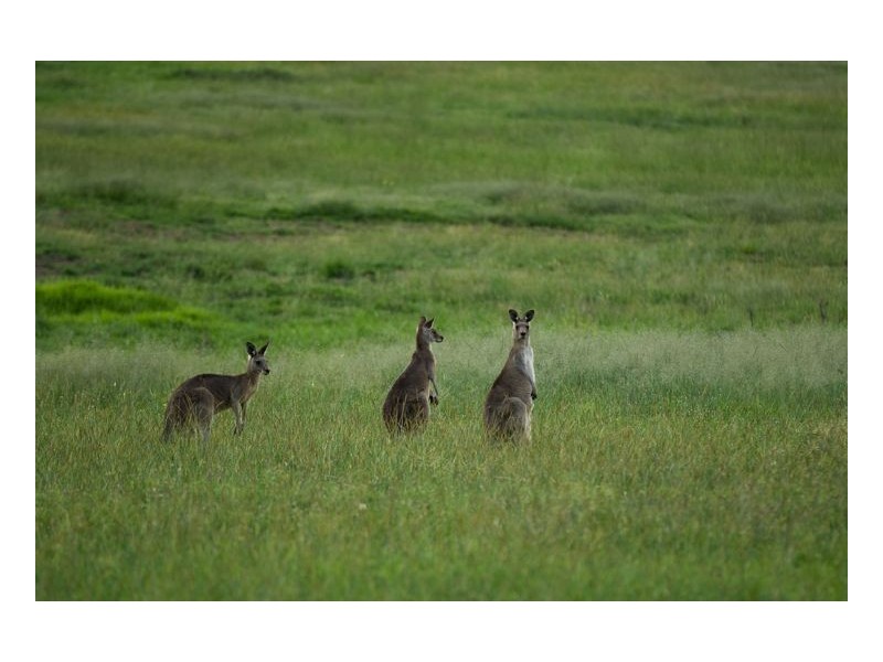 Lot 206 Sandon Park, Armidale NSW 2350