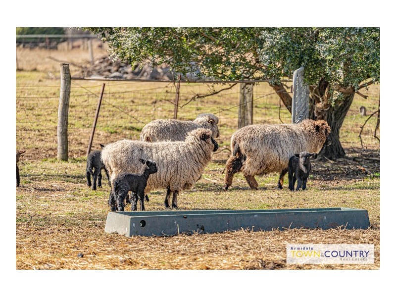 60 Mundays Lane, Armidale NSW 2350