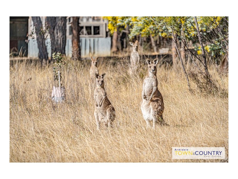 40 Lentara Road, Invergowrie NSW 2350