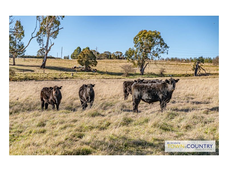 78 Cluny Road, Armidale NSW 2350