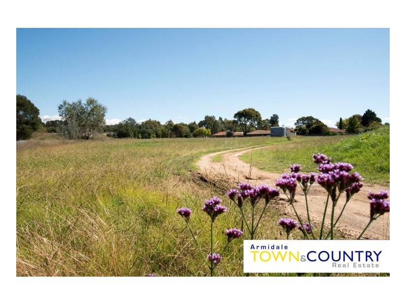 46 Martin Street, Armidale NSW 2350