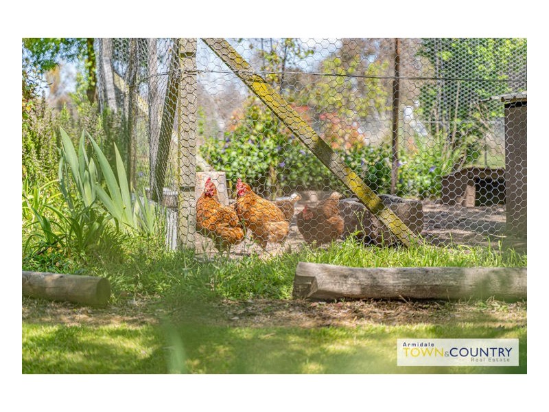 22 Dumaresq Street, Uralla NSW 2358