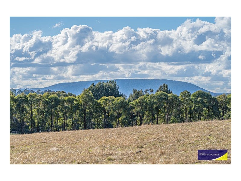 Lot 213 Sandon Park, Armidale NSW 2350