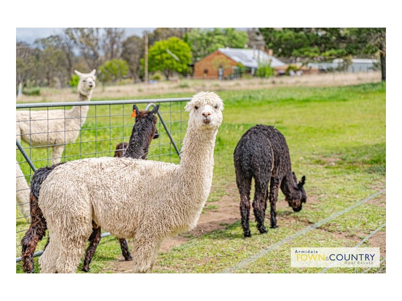 972 Rockvale Road, Armidale NSW 2350