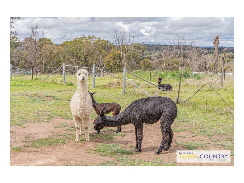 972 Rockvale Road, Armidale NSW 2350