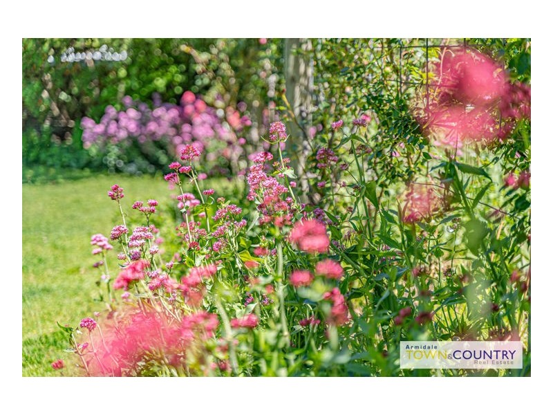 207 Markham Street, Armidale NSW 2350