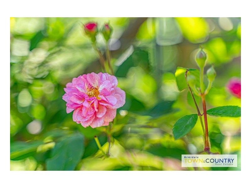 207 Markham Street, Armidale NSW 2350