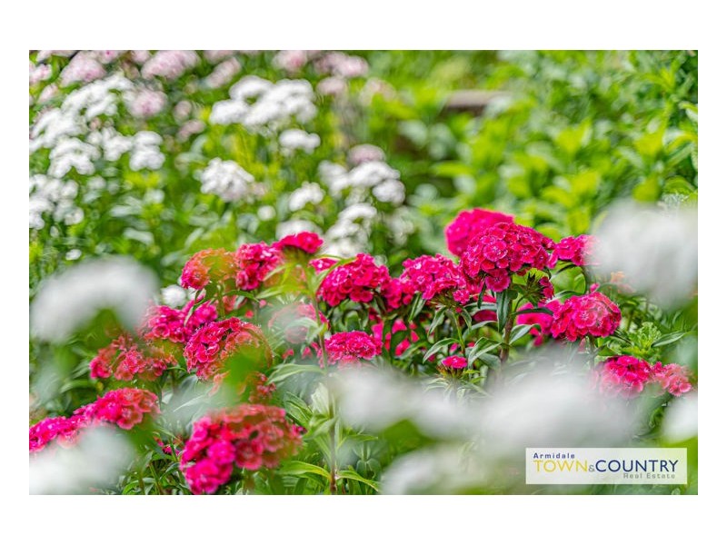 59 Mann Street, Armidale NSW 2350