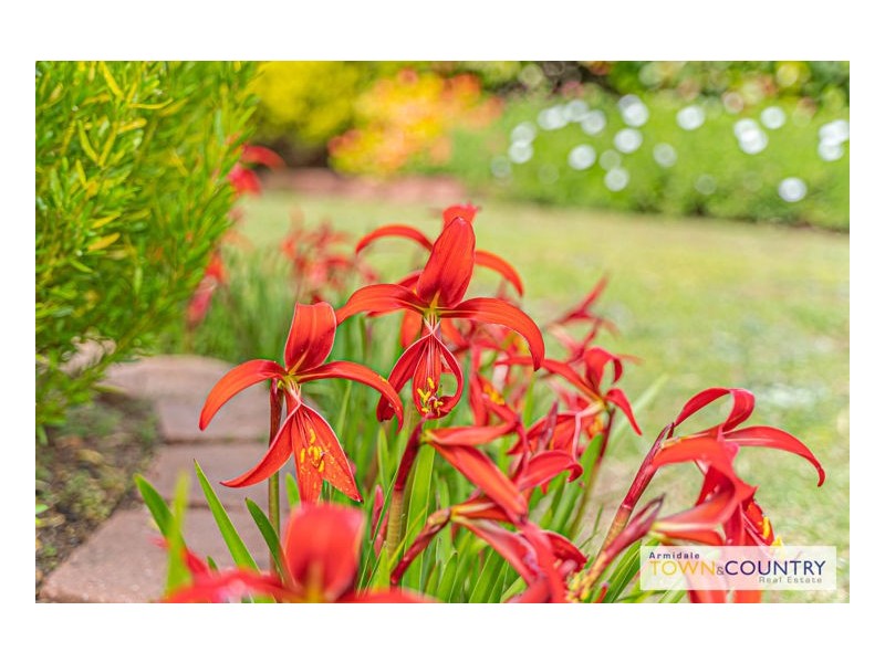 23 Norris Drive, Armidale NSW 2350
